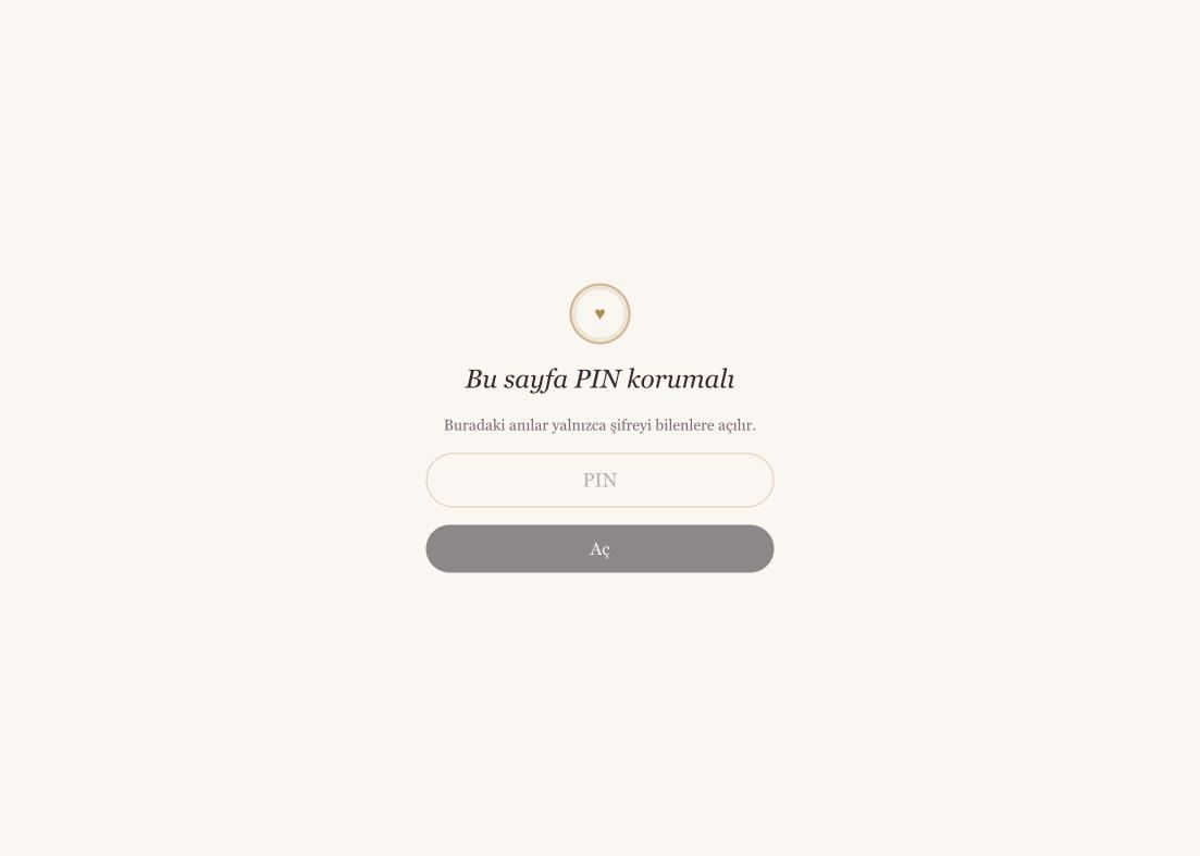 PIN korumalı sayfa kilit ekranı